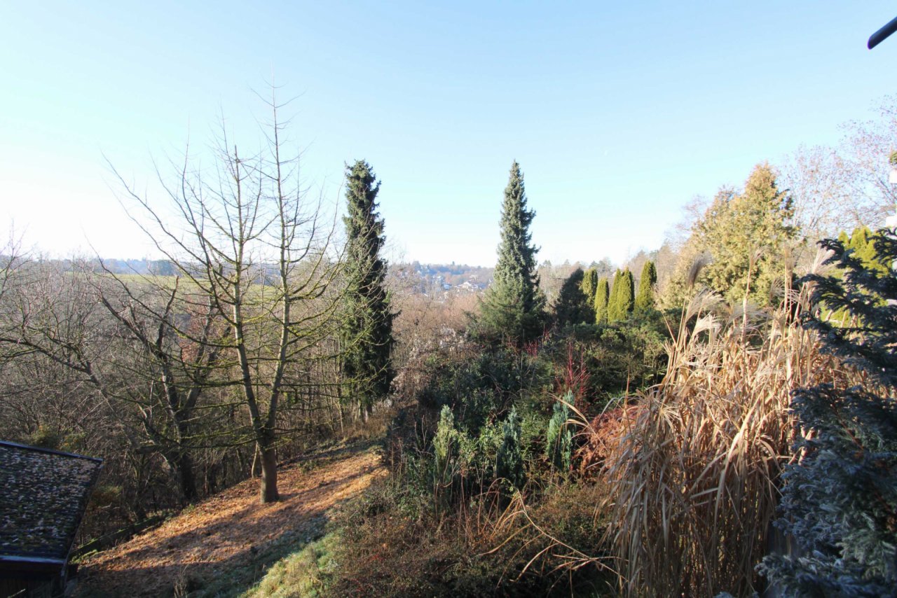 Garten Garten
