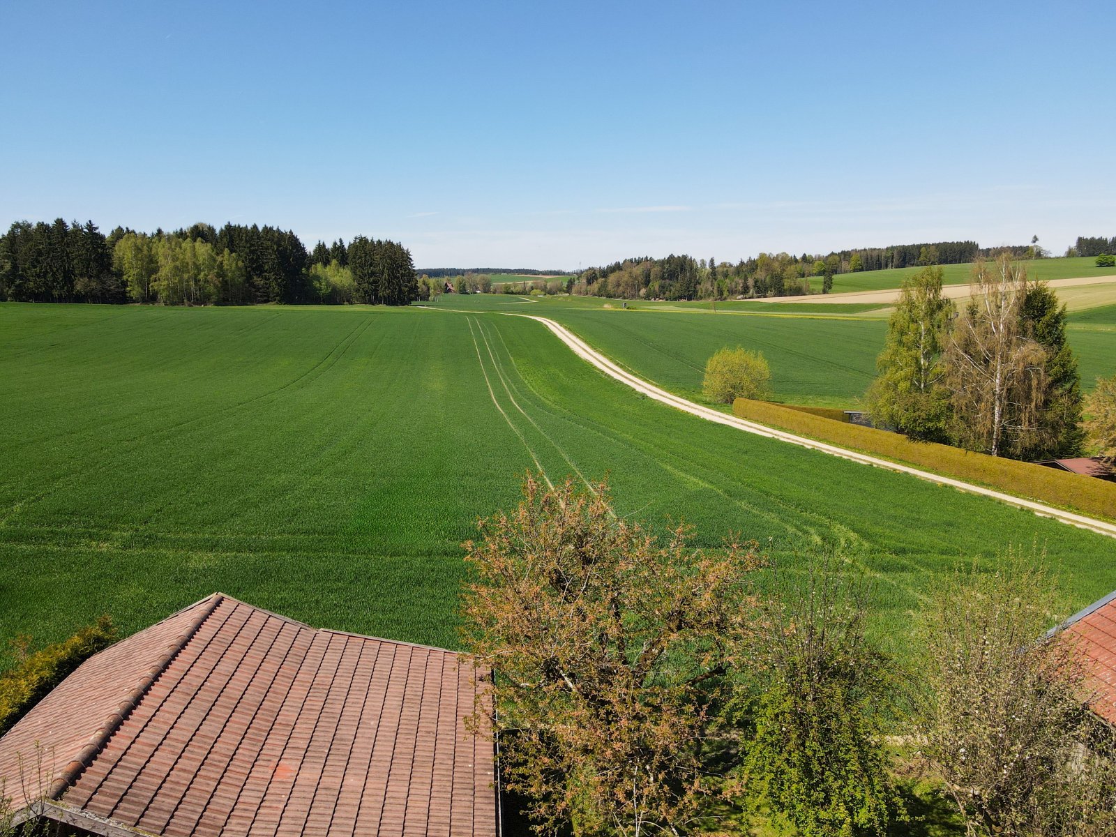 Ausblick Ausblick