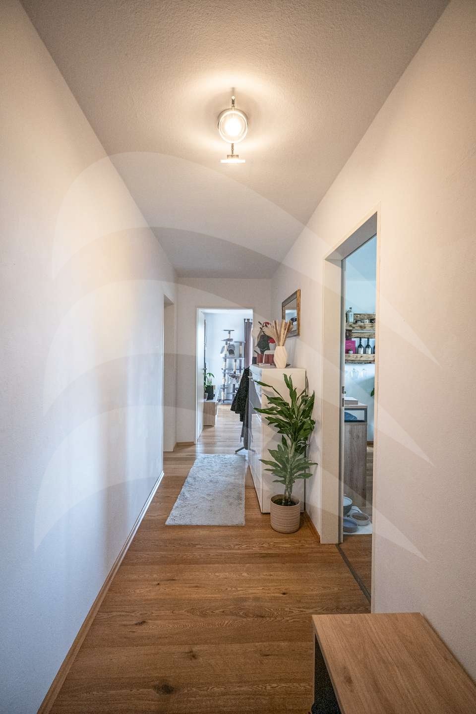 Wohnung Wohnung