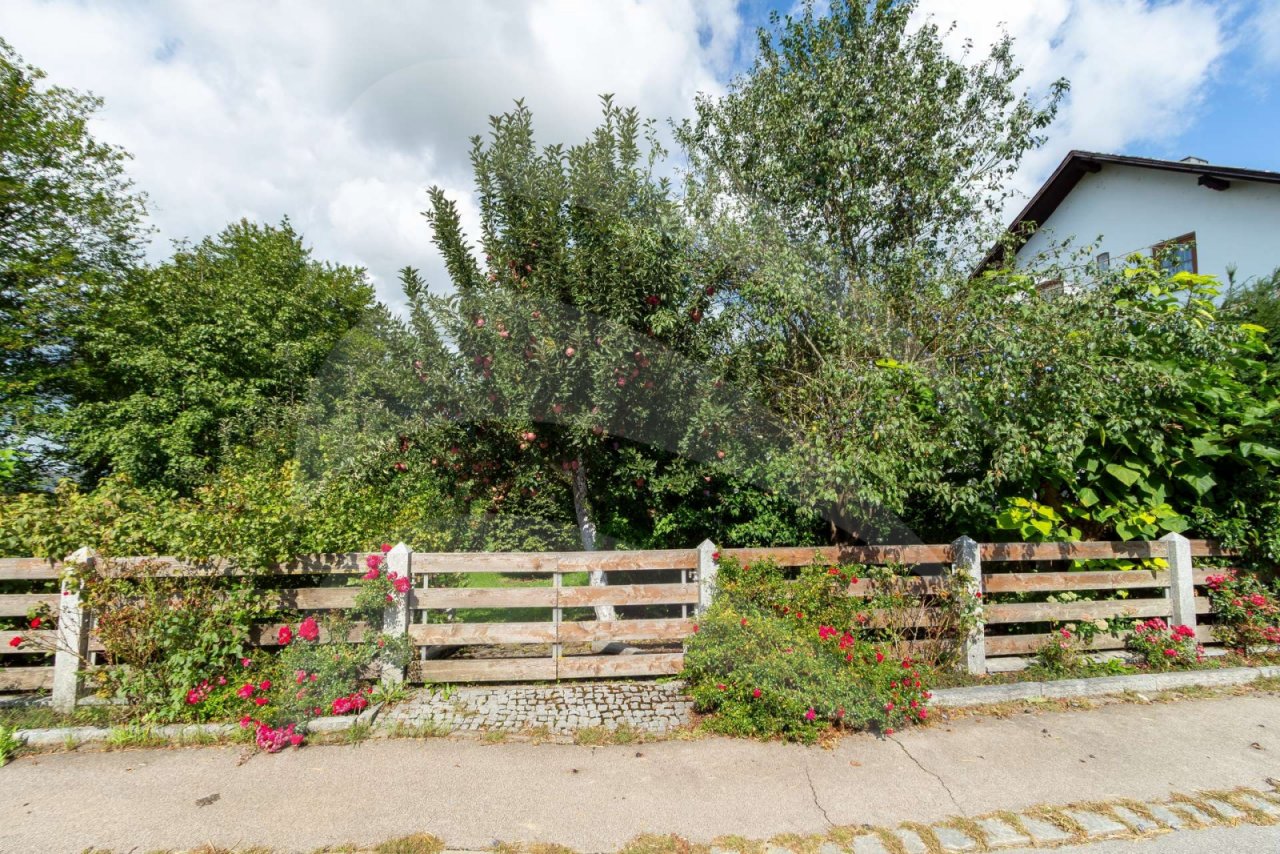 Garten Garten