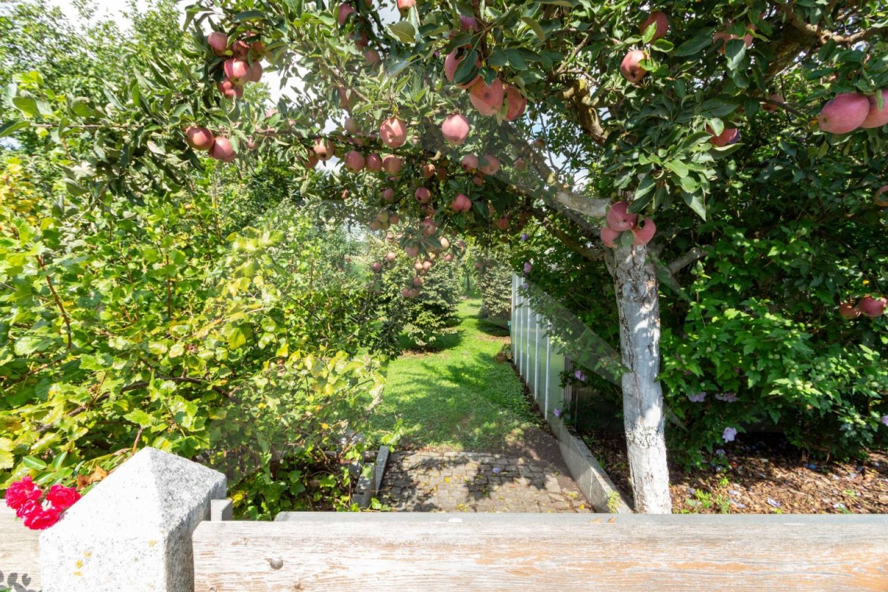 Garten Garten